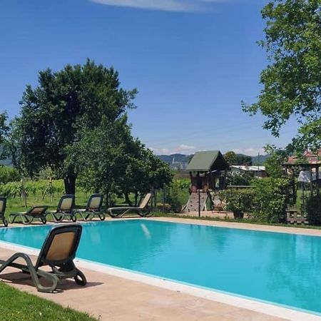 Agriturismo L'Albara - Wines, Pool & Spa Villaganzerla Екстериор снимка