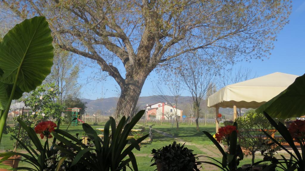 Agriturismo L'Albara - Wines, Pool & Spa Villaganzerla Екстериор снимка