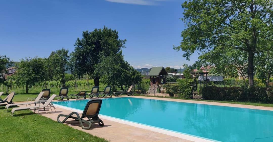 Agriturismo L'Albara - Wines, Pool & Spa Villaganzerla Екстериор снимка
